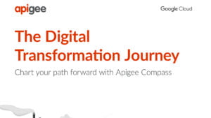 4. Digital Transformation Journey